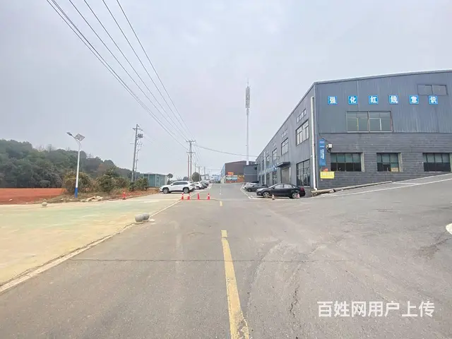 浏阳开元路家具城旁钢结构1千,2千,3千,4千平园区厂房招租 - 图片 2