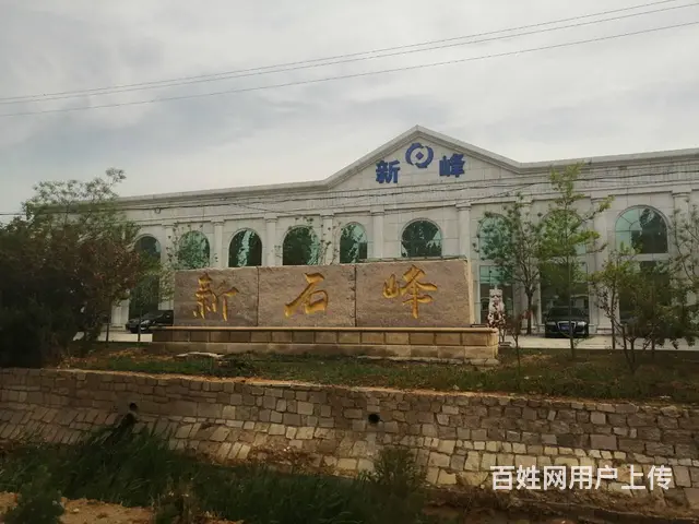 莱州86亩工业地债权转让 - 图片 1
