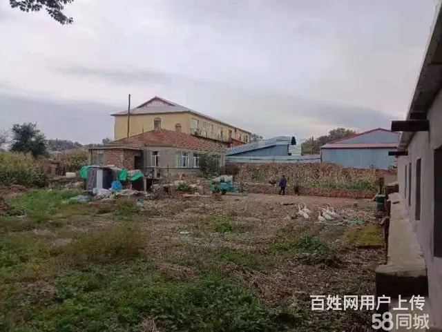 道里机场路二手车市场蒋化屯厂房出售 - 图片 5