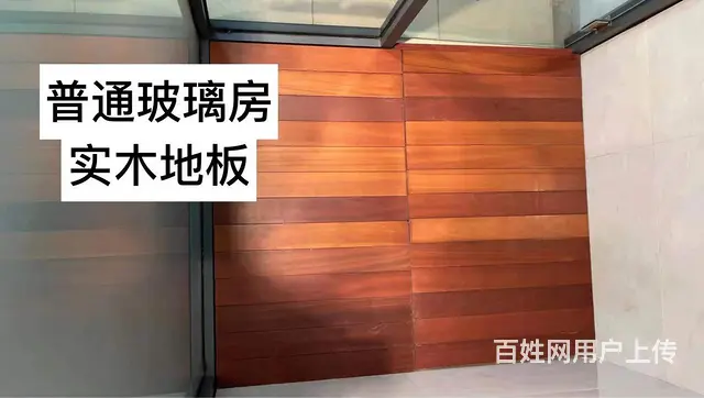 昆山宠物训练寄养学校 - 图片 5