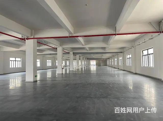 南屏2500~5500平高标准厂房，厂房形象好，位 - 图片 5