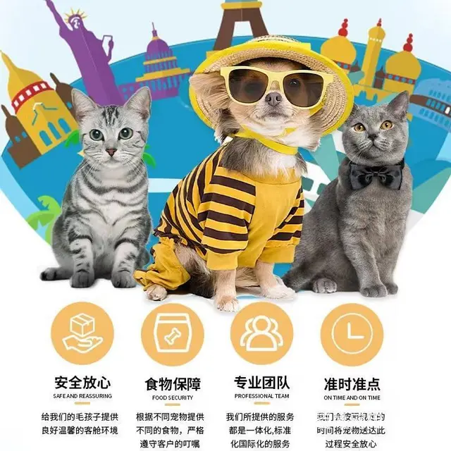 寿县宠物托运 （猫狗活体运输）宠物快递至全国 - 图片 2