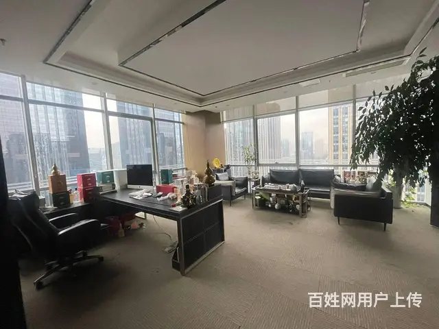 天府二街300平接待办公室 甲级纯写业主直租 - 图片 4