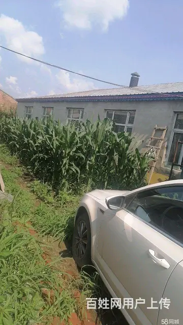 松北区昆明大街蔡家屯厂房出租 - 图片 5