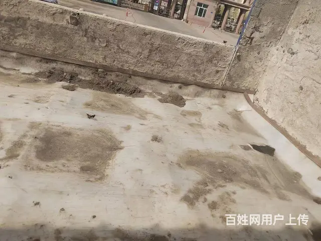 单车  大论598 - 图片 5