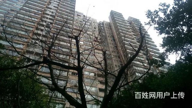 金花苑电梯一房一厅 精装修拎包入住陈家祠地铁 小区 - 图片 9
