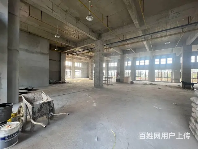 自有全新园区招租 单层独栋 多面积段 业态不限 欢迎咨询看房 - 图片 5