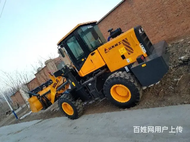 资阳低价转让龙工30，50，临工30(933)柳工50装载九 - 图片 7