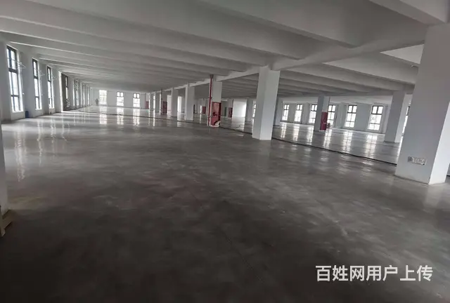 尚湖练塘全新独栋4层，每层1550平，可分租，配套设施齐全。 - 图片 9