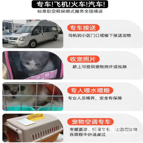 全国短长途宠物托运，专线直达主人可跟车 - 图片 2