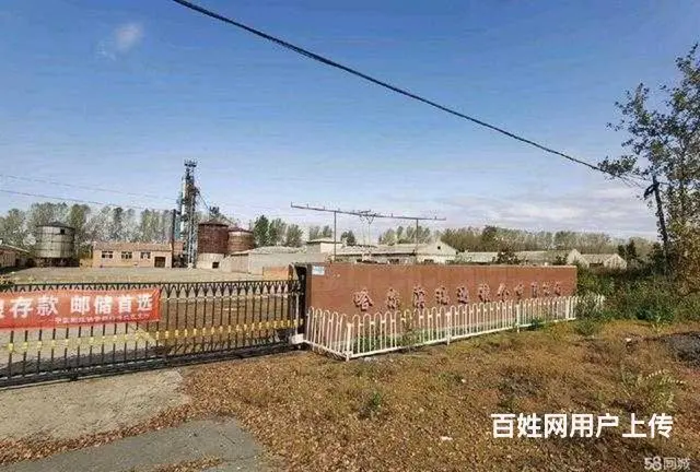 呼兰城区长岭镇厂房出售 - 图片 3