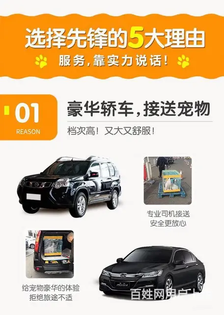 常州托运宠物，宠物狗托运价格 - 图片 5
