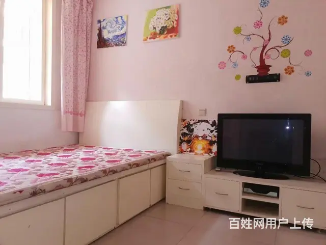 毓璜顶医院 道恕街 华茂附近 精装1室 1楼 家电齐 - 图片 1