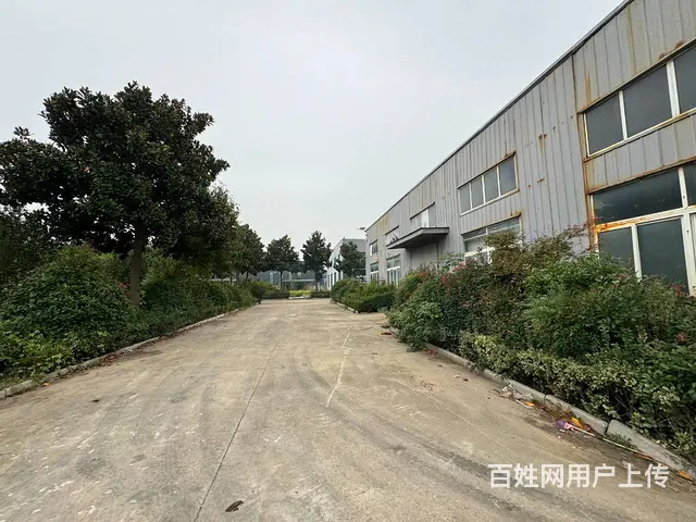 （徐州找店网）新沂开发区标准厂房出租 - 图片 4