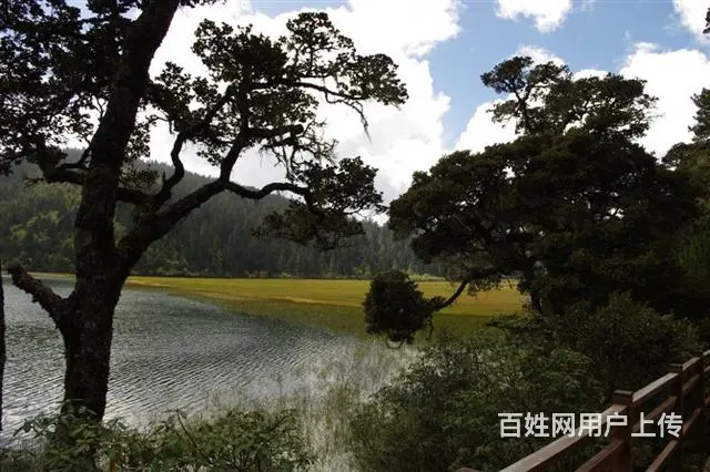 寻有素质知己 - 图片