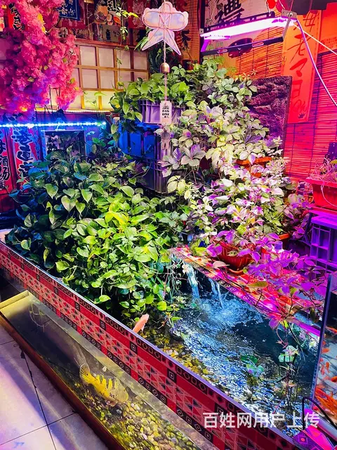 道里 餐馆 餐饮店铺出兑 转让 - 图片 9