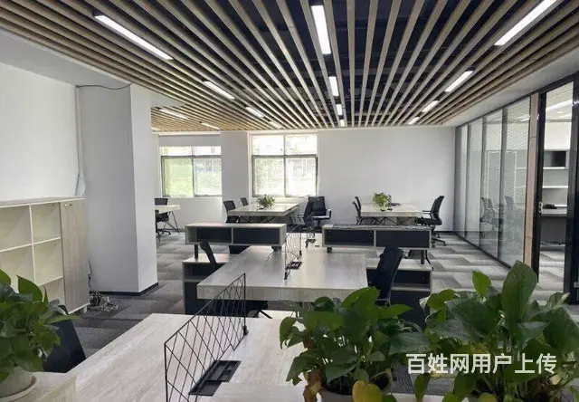 万达广场多套50加50平精装办公房    朝南 - 图片