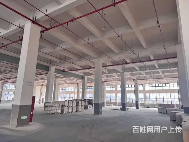 浙江德隆新材厂房出租 - 图片 4