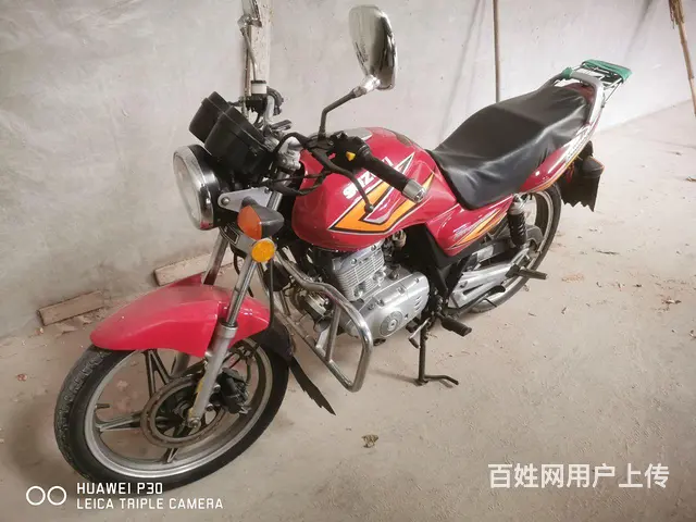 铃木 - 图片