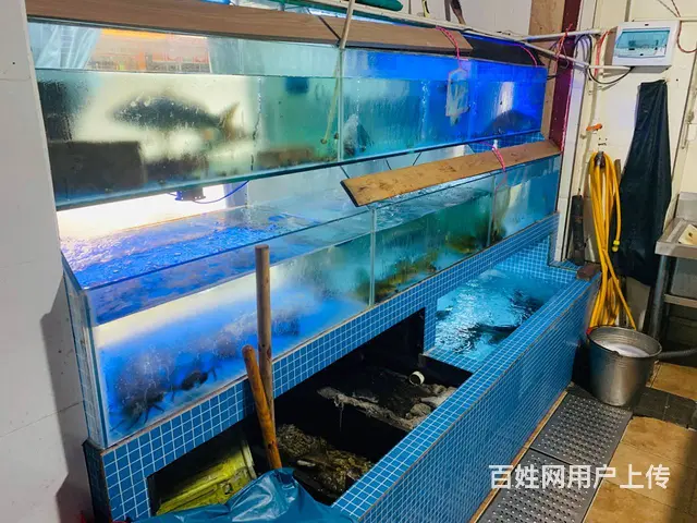 （老板本人）四方坪成熟小区精装餐馆7.8W转让 - 图片 7