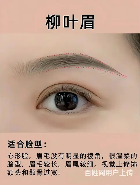 眉毛定位与画法 - 图片 9