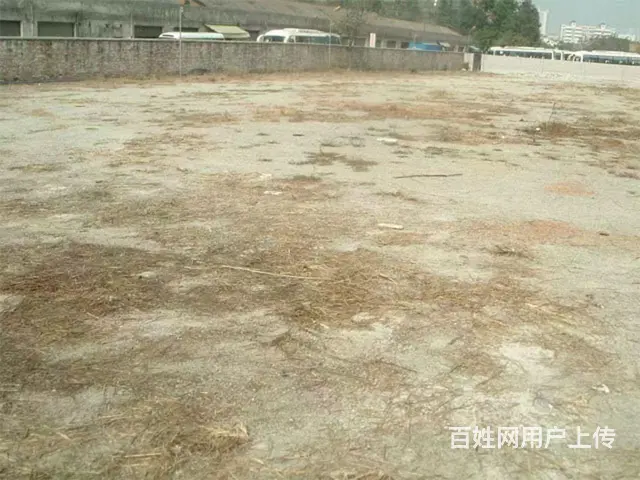 空地出租 可办执照 三通一平 - 图片 1