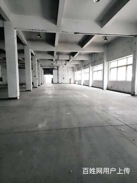 常熟高新区面积11200平，可分租，设施配套齐全，行业不限 - 图片 5