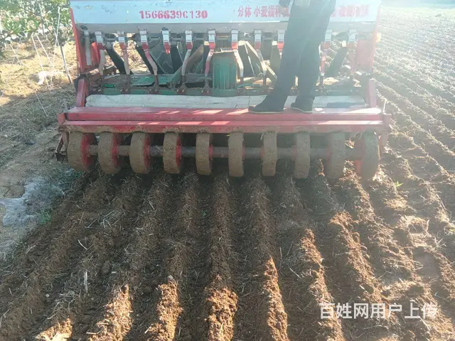 满外两米半小麦播种机出售 - 图片 1