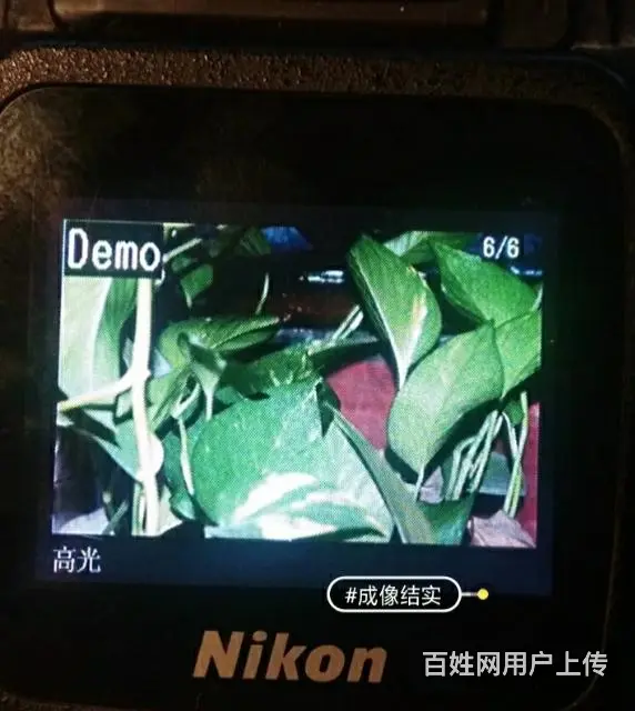 尼康D50单反相机 - 图片 1