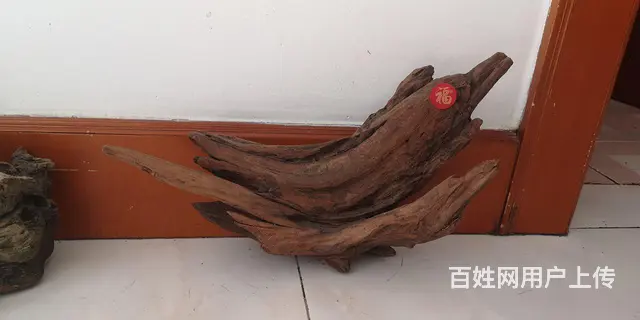加热棒，鱼缸水泵，灯，沉木 - 图片 7