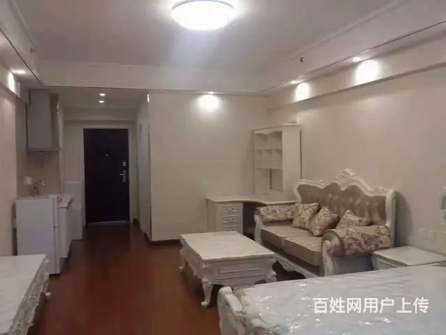 万达B座南向公寓出租 - 图片 6