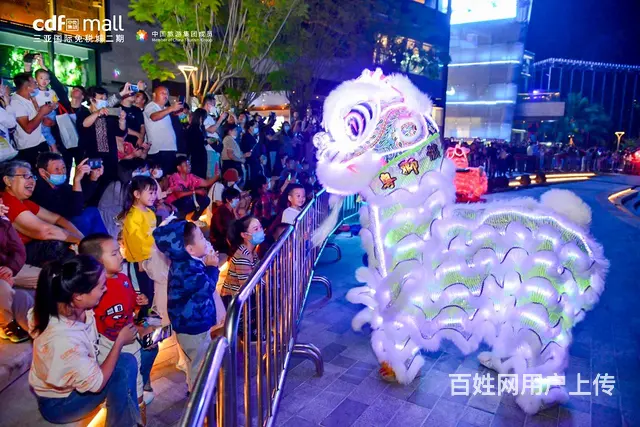 LED灯光醒狮表演团队，夜光醒狮表演，灯光舞狮表演 - 图片 3