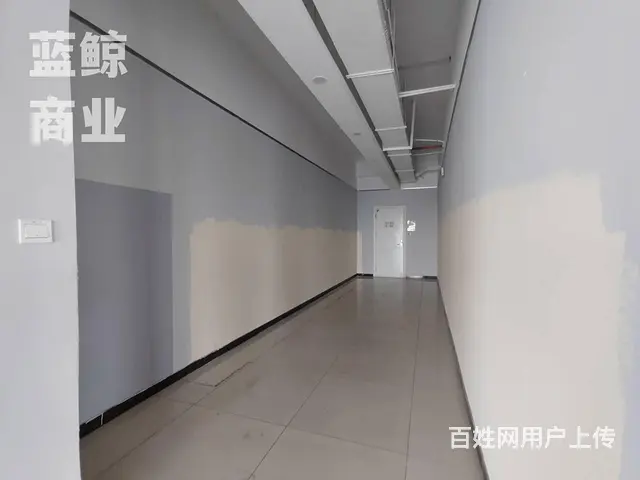 金龙湖旁500到1000平整层可分割欢迎看房 - 图片 6