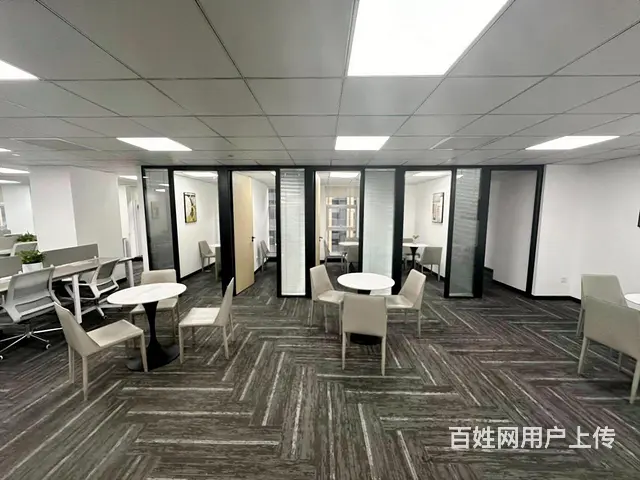 地铁口中豪望江 绿地商业  豪装带家具  300方得房率超高 - 图片 9