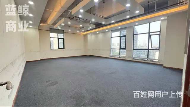 金龙湖附近 大平层 视野开阔 - 图片 7