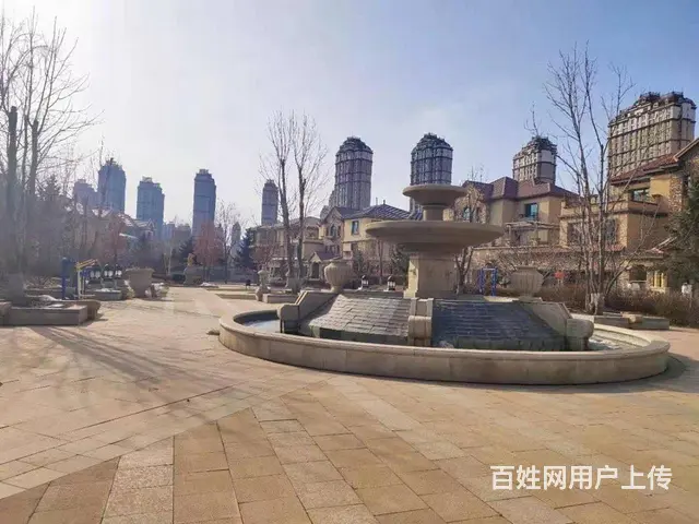 多套~独栋别墅 直观水系使1800花园500米三排车库 - 图片 11