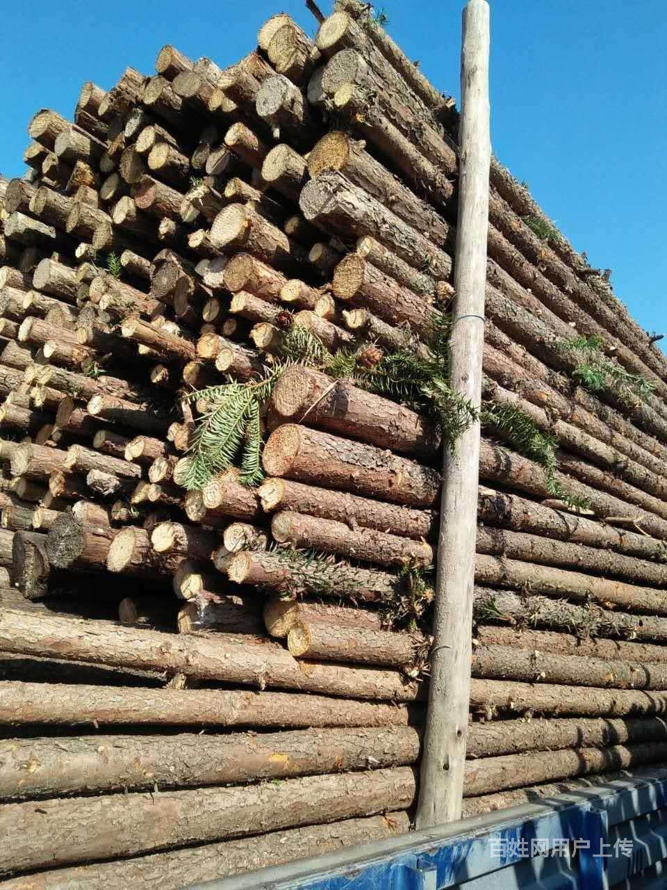 郑州杉木杆郑州景新杉木杆郑州杉木杆支撑杆价格