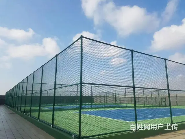 硅PU球场建设、羽毛球馆装修建设、围网灯光建设 - 图片 4