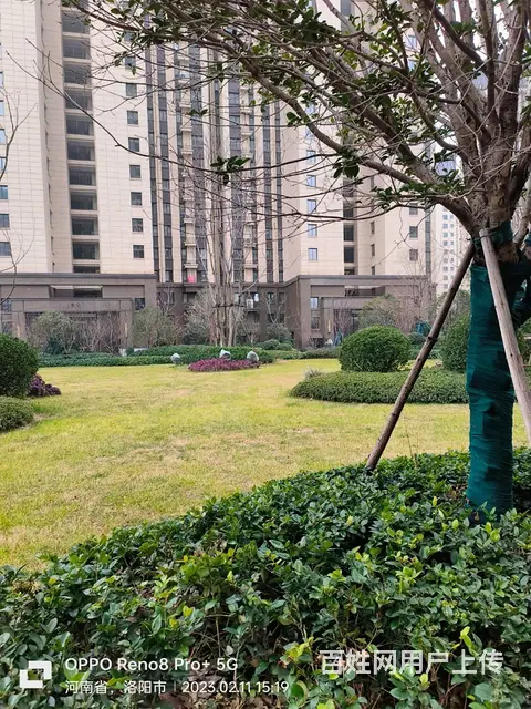 金科绿都天辰 普通住宅2厅 简单装修 - 图片 5
