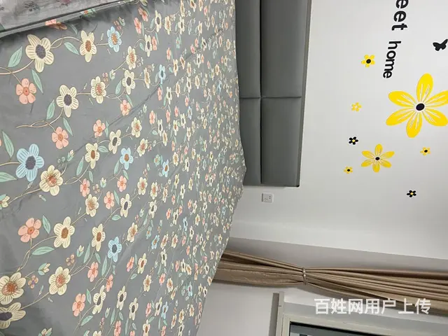 银领国际电梯7楼，70平左右，两室一厅！精装修冰箱，热水器， - 图片 1