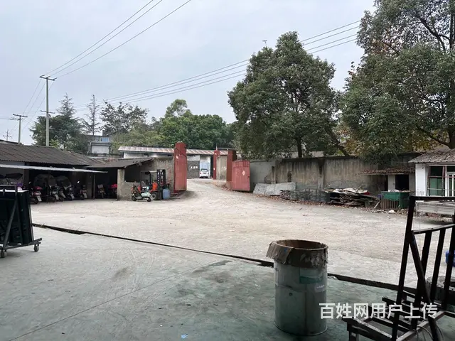 6000平米可分租厂房库房 - 图片 5