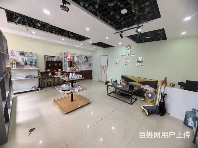 国奥现代城宠物店出兑可空兑适合各类生意： - 图片 5