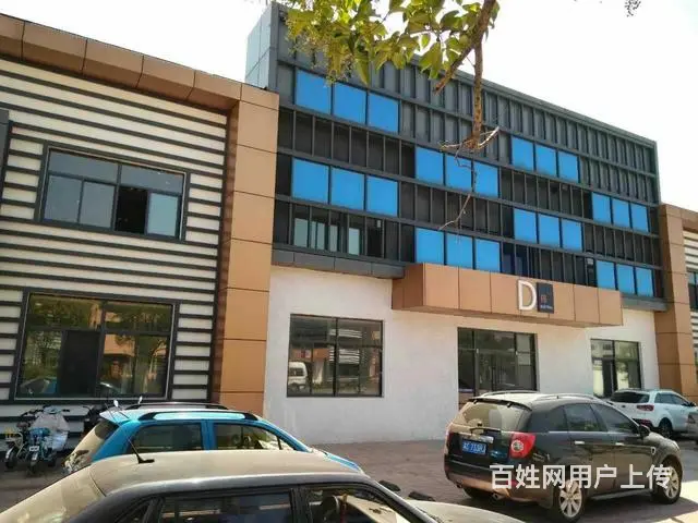 王辛 15150055440 随时恭候你的咨询 - 图片 6