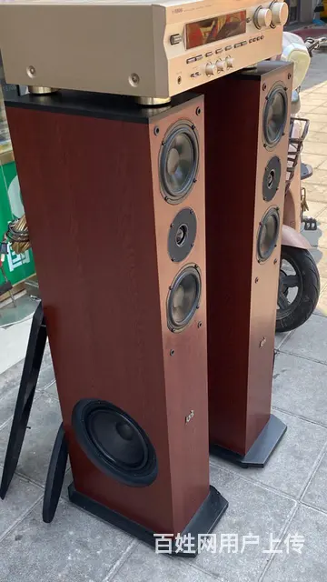转让一对丹麦雅锐发烧音箱，低音在侧面，配套马来西亚 - 图片 5
