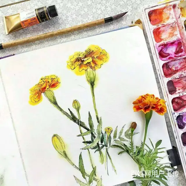 临沂周末美术零基础辅导培训班 - 图片 1