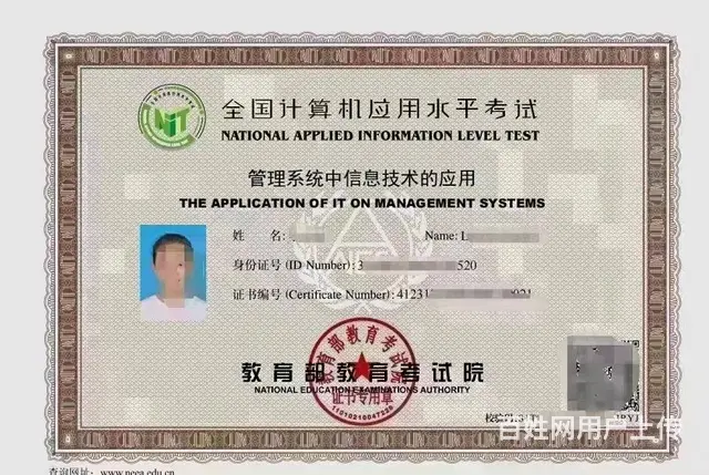 2024年计算机NIT证书报名 - 图片 2