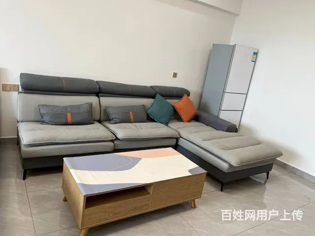 新天地 公寓1厅 精装修 - 图片 7