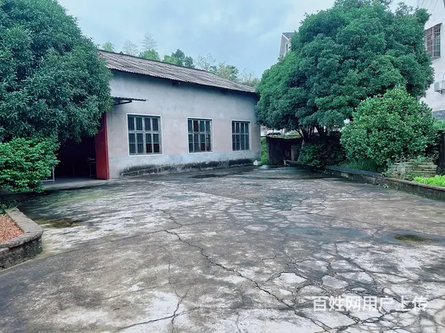 （老板本人）望城金洲大道附近独门独院厂房带场地出租 6515 - 图片 2