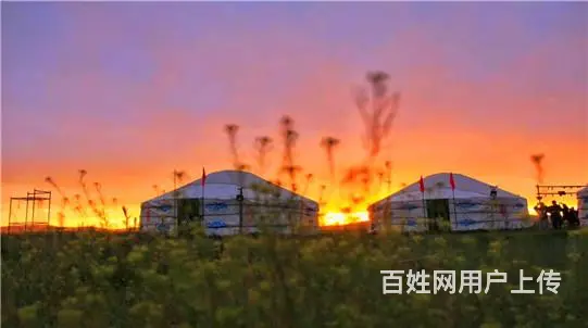 呼伦贝尔漠河二日游呼伦贝尔旅游包车呼伦贝尔出行包车 - 图片 2