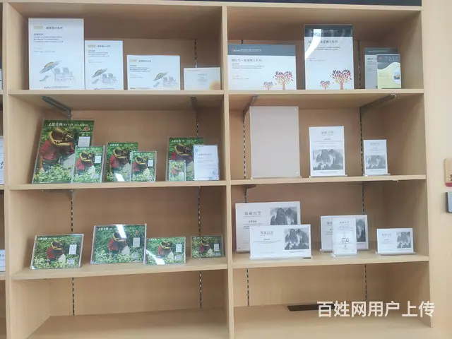 海口广告定制，招牌发光字，灯箱写真海报定制奖牌荣誉 - 图片 7